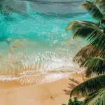 Echoes of the Ocean: Timeless Quotes for Sea Lovers