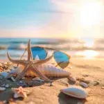 Ultimate Guide to Beach Trip Activities