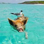 10 Beaches with Funny or Curious Names