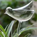 Going Away? Here’s How to Keep Your Plants Happy and Hydrated