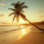 How to Take Beach Photos?