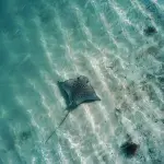 This is the worst thing you can do when you go to Balandra Beach