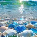 Dream Shores: What Would Your Fantasy Beach Look Like?