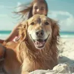 Tail-Wagging Experiences: A Haven for Pet-Friendly Vacations