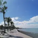 The Best Things to Do in La Paz, Mexico