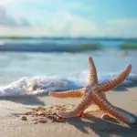 Positive Quotes Inspired by the Sea