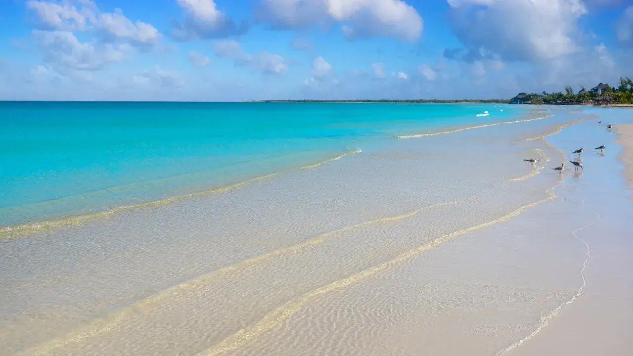 Look at those beach colors!