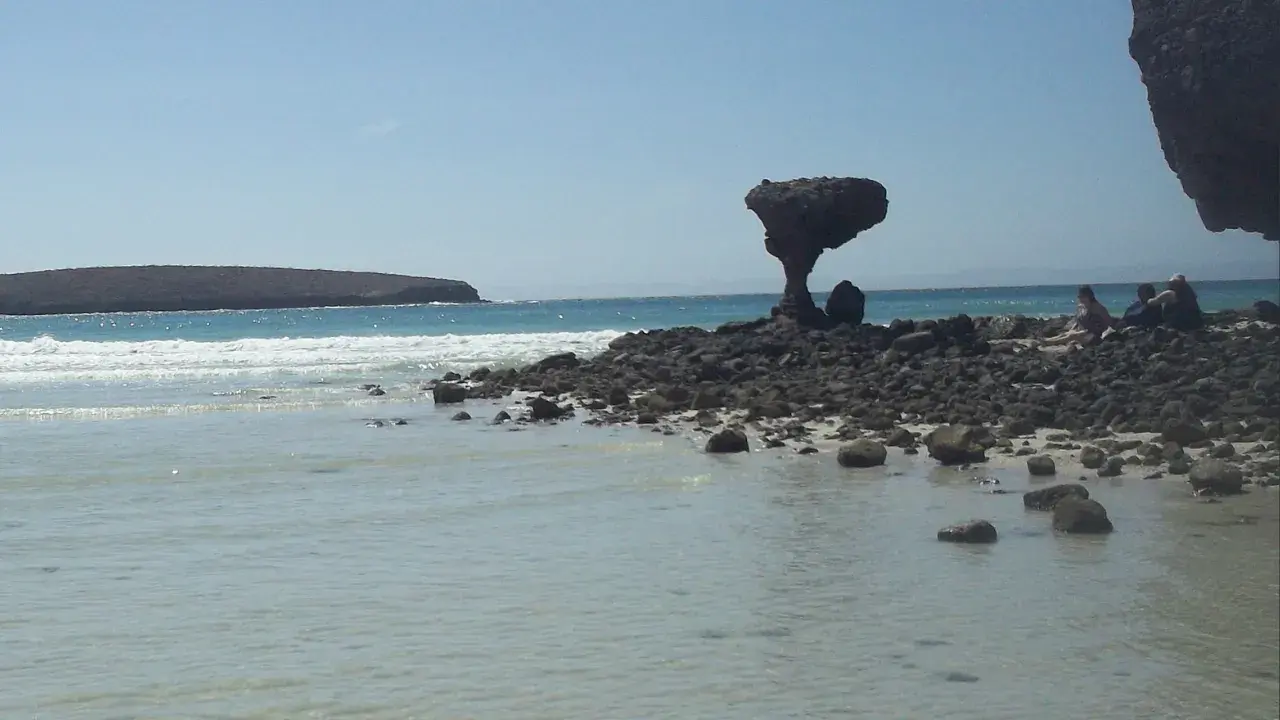 Hongo de piedra or Stone Mushroom.
