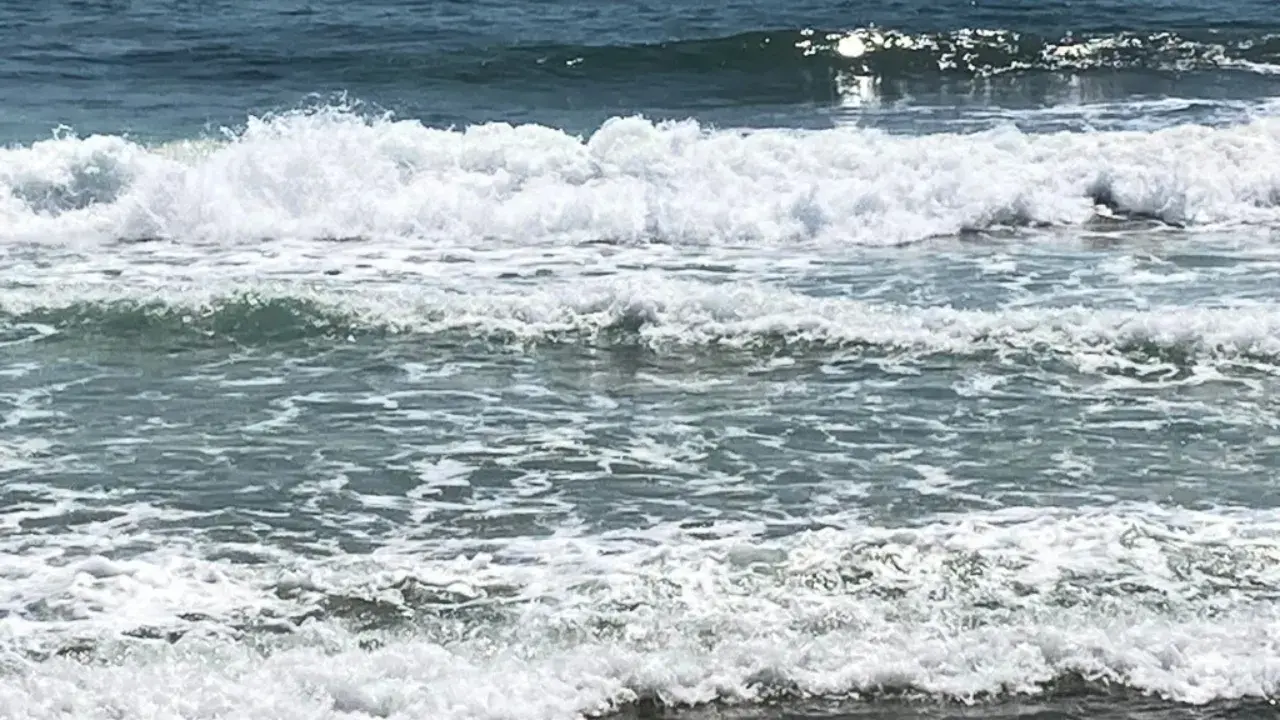 You need to see this with your own eyes!