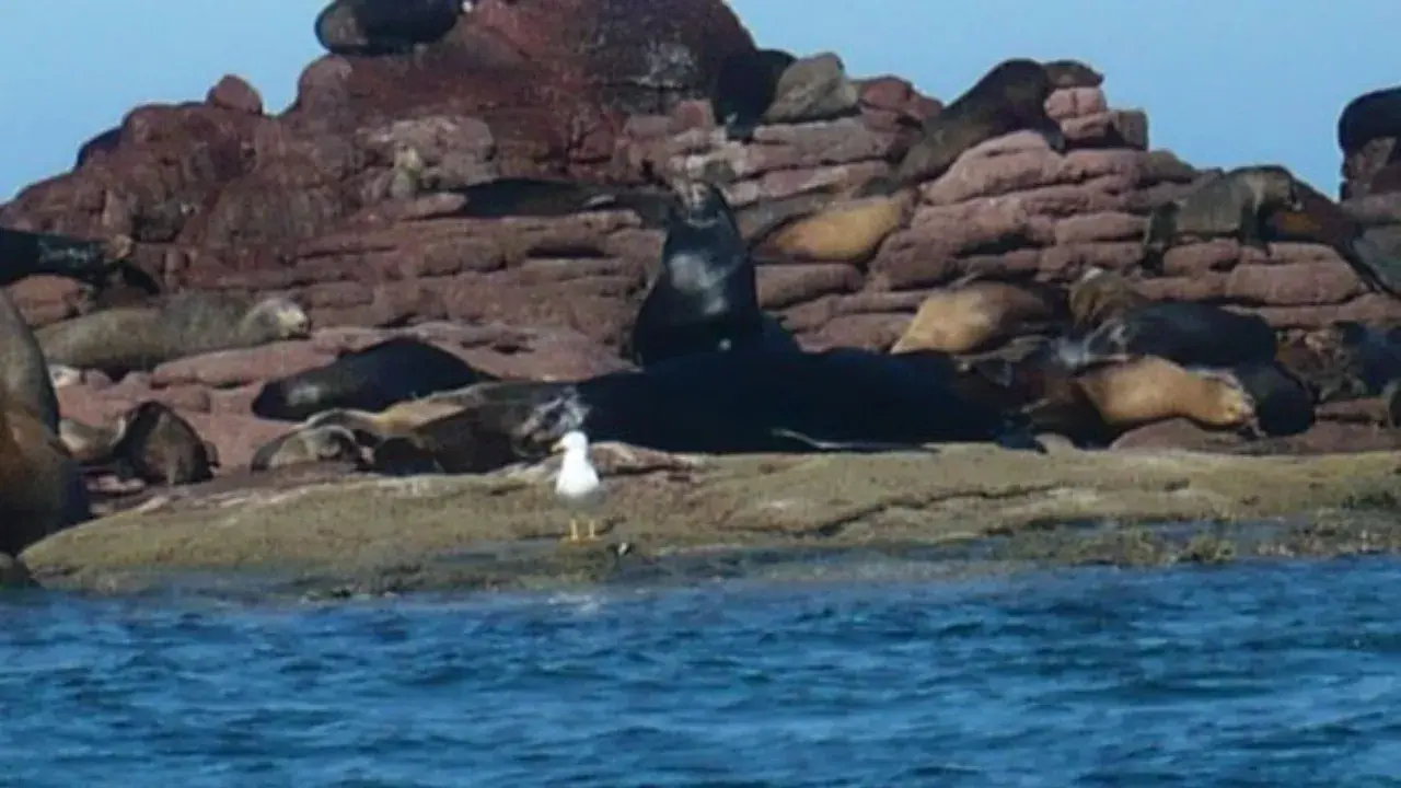It's not the best photo, I know, but that boat was really rocking!